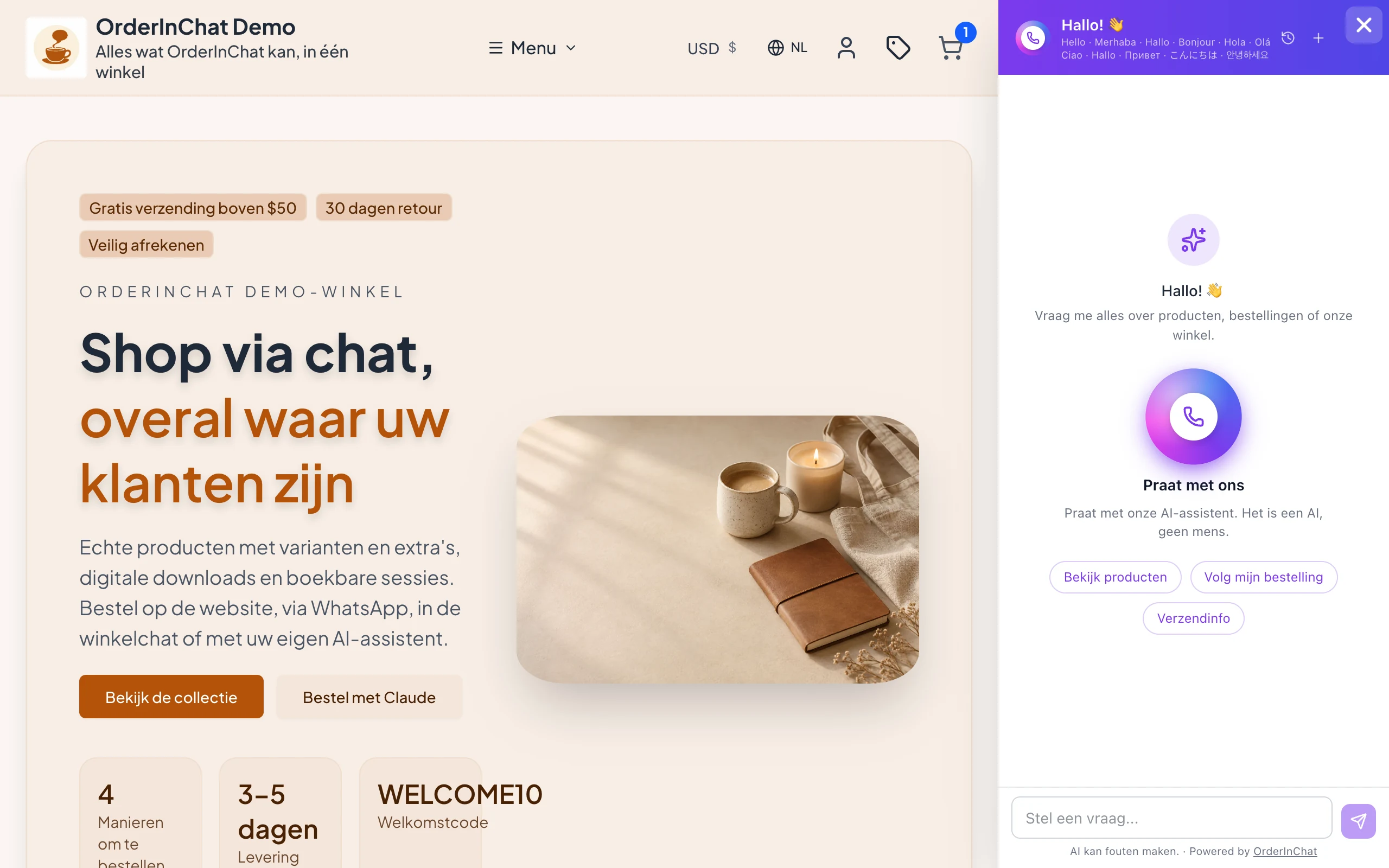Dezelfde AI op je website
