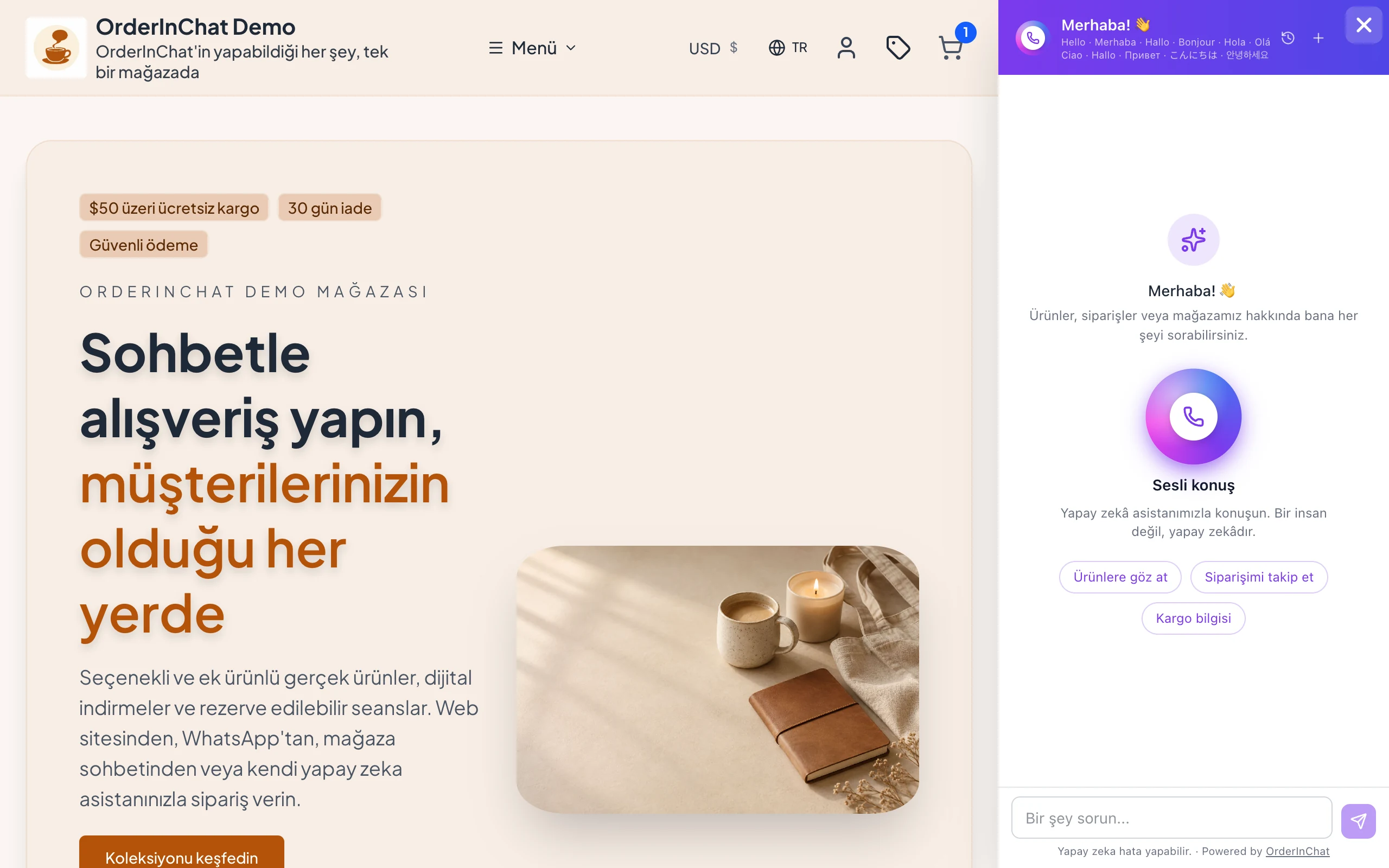Aynı AI web sitenizde